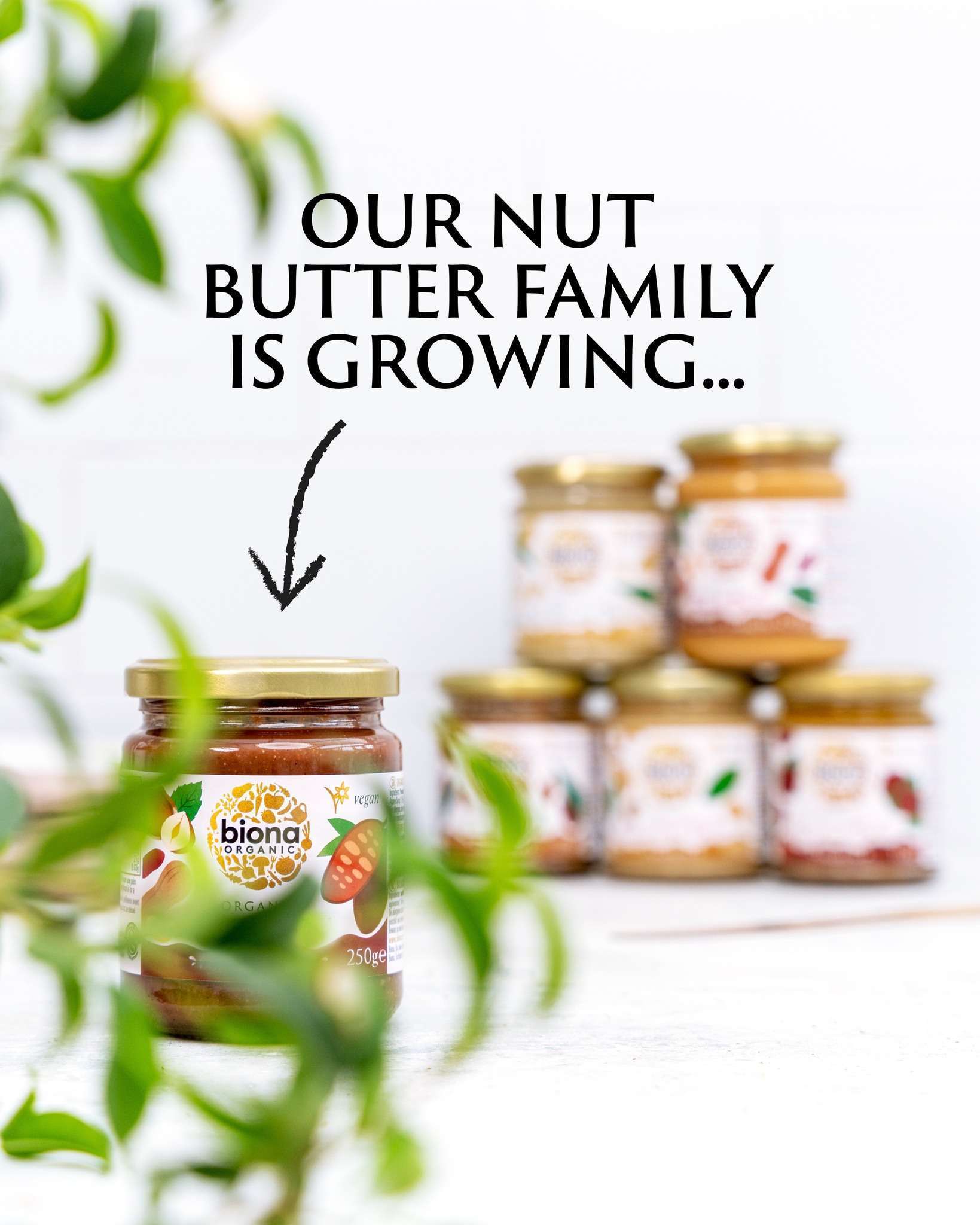 Organic Nut Butter - A Pure Natural Protein Source for Health