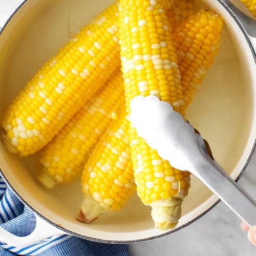 Boiled corn on cob