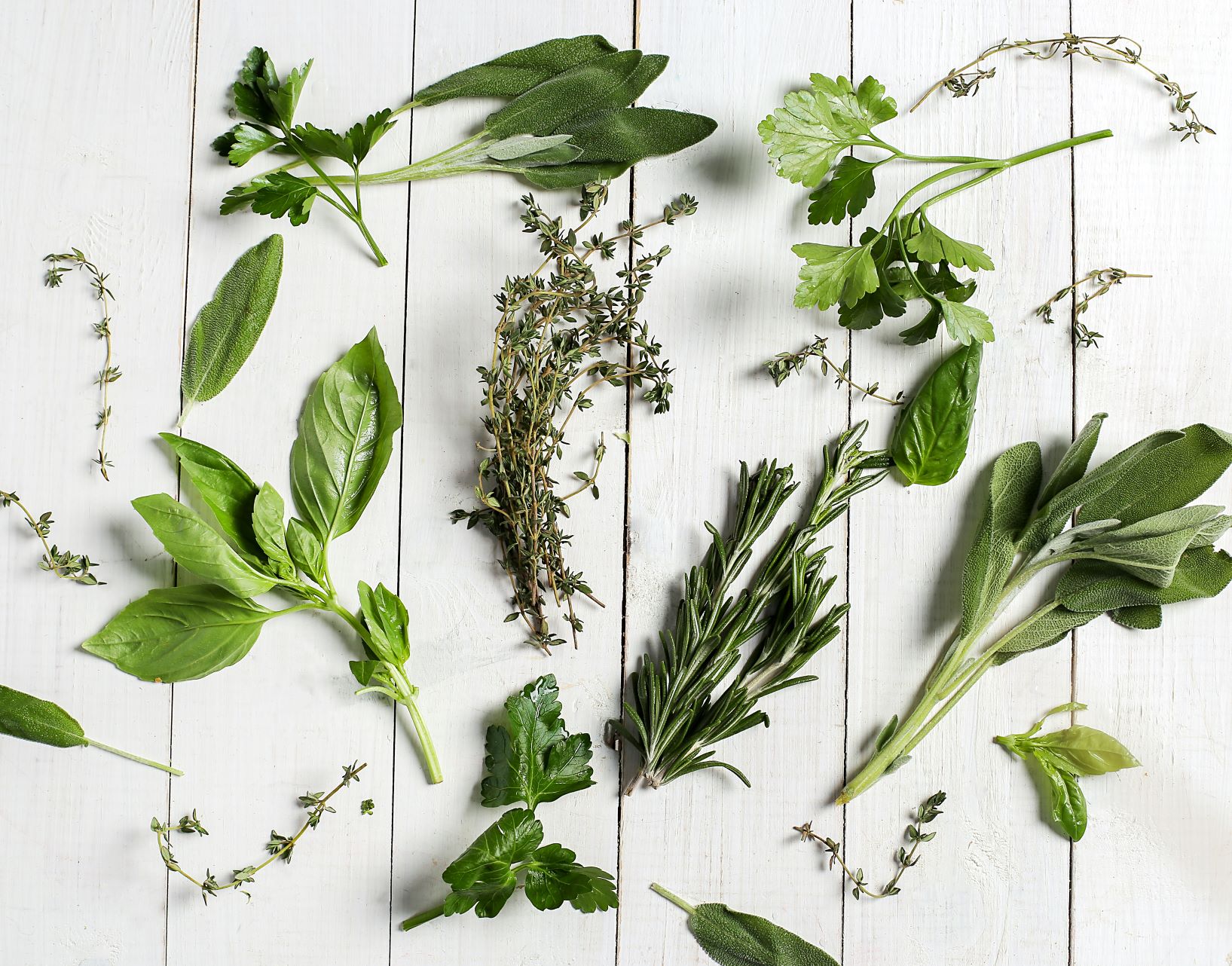 Organic Herb Spices - Taste Therapy for Delicate Delicacies